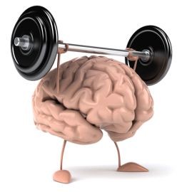 Brain Gym : La gymnastique du cerveau